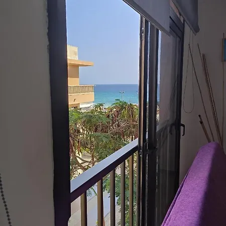 El Carmen 5 *