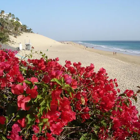- Oasis * Morro Jable (Fuerteventura)
