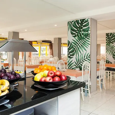 Palm Garden By Livvo Apartment