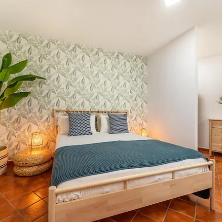 Apartment Chada *