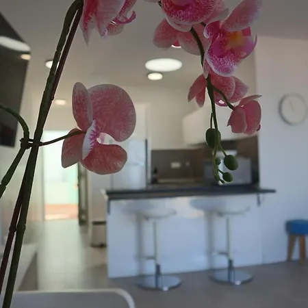 Apartamento Rayon