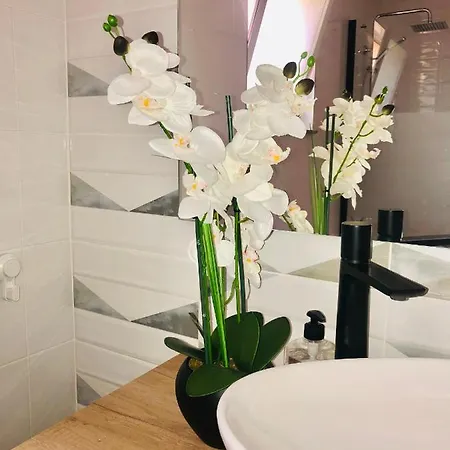 Apartamento House Sofi , Morro Jable Ftvra. Canary Islands. *
