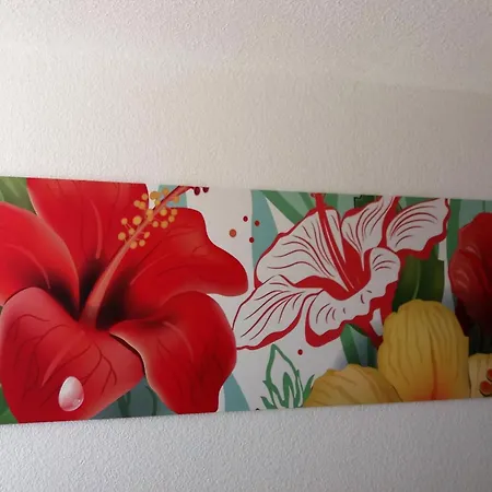 Mit Terrasse Direkt Am