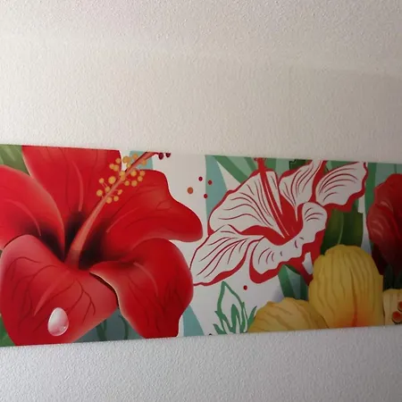 Apartment Mit Gemeinschaftlichem Pool *
