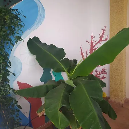 Ferienhaus Enjoy Fuerteventura *