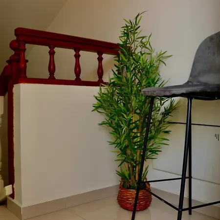 Caretta Destino Apartment *